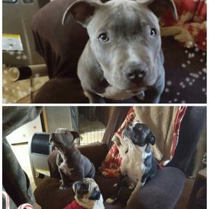 Meet your Posher, Terri